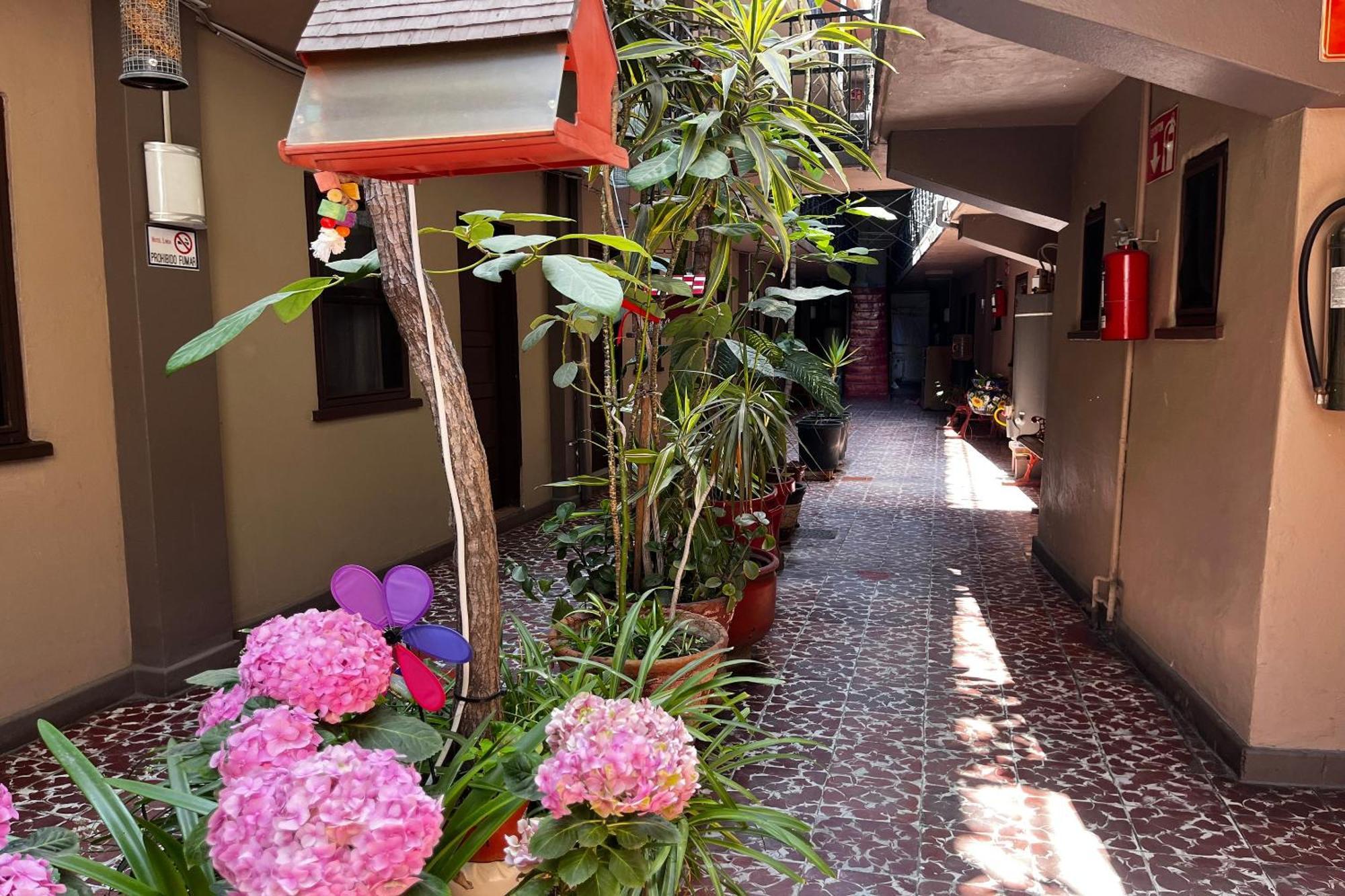 Oyo Hotel Linda Tijuana Kültér fotó