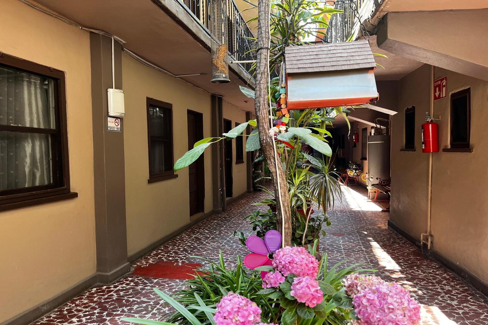 Oyo Hotel Linda Tijuana Kültér fotó